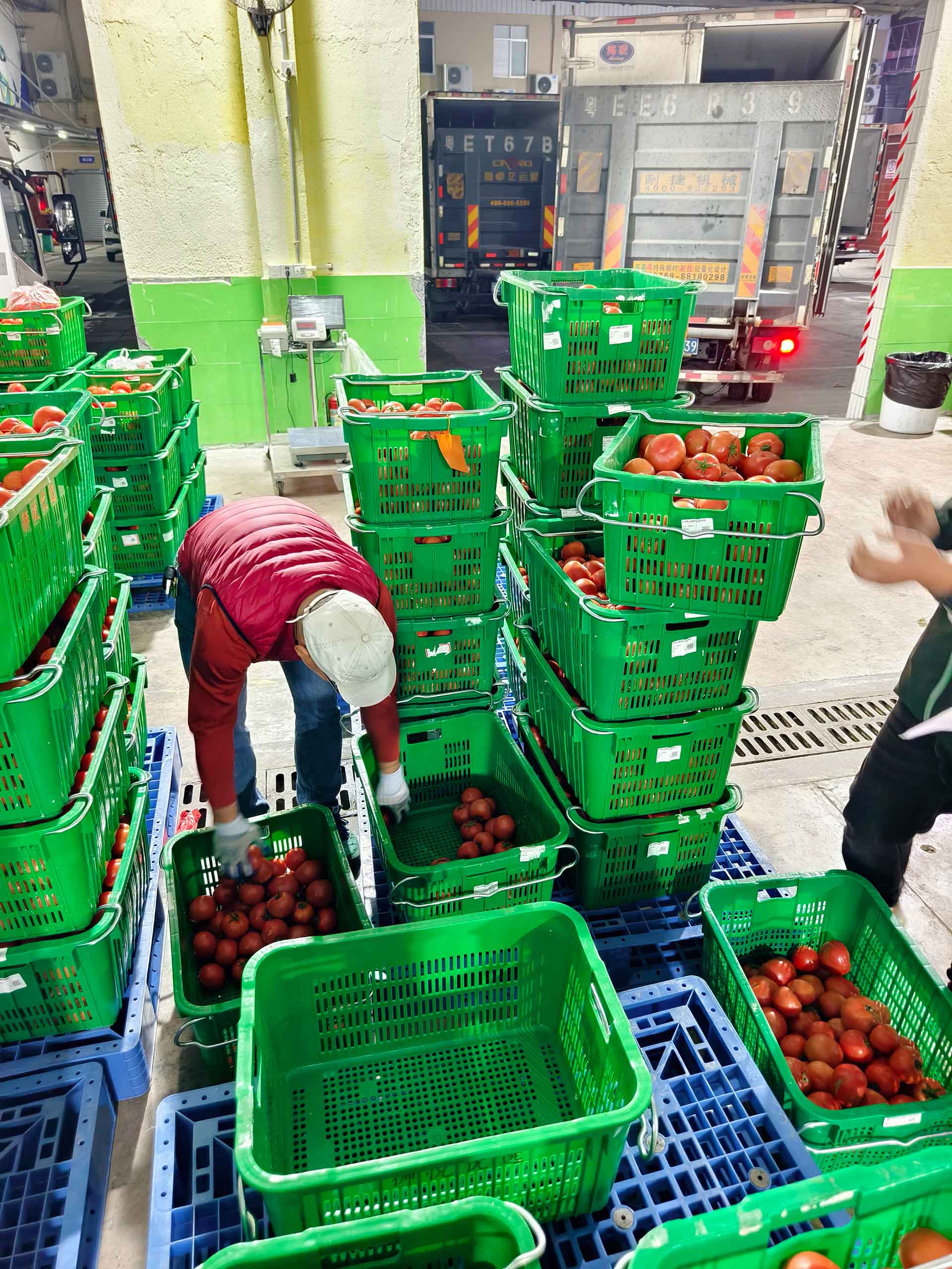 净菜切配或后厨备菜场景（示例）